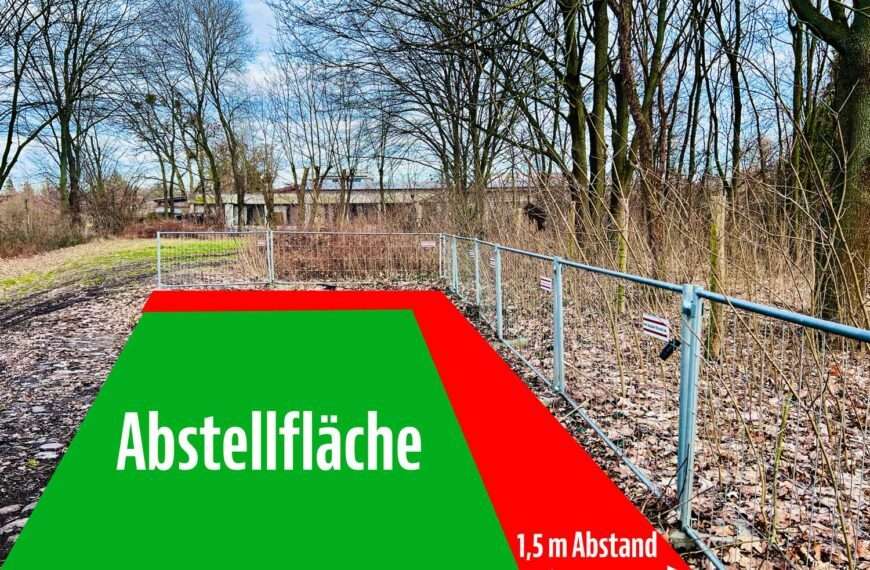 Baum- und Strauchschnitt